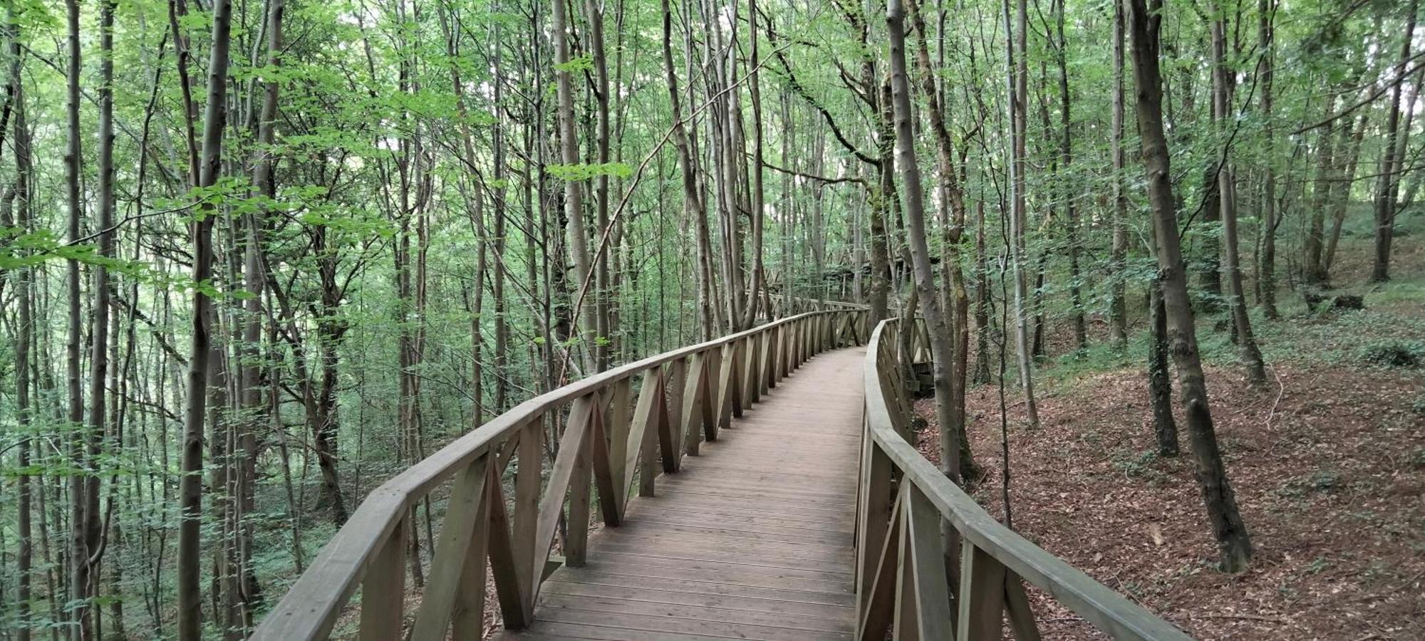 Altos De La Hayuela, A 7 Min De Comillas Εξωτερικό φωτογραφία